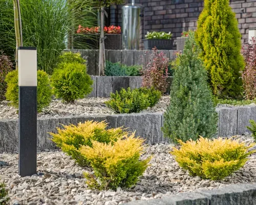 newly-built-modern-backyard-garden-2025-03-13-02-57-01-utc